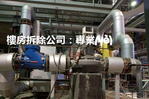 樓房拆除公司：專業(yè)高效，安全拆除專家